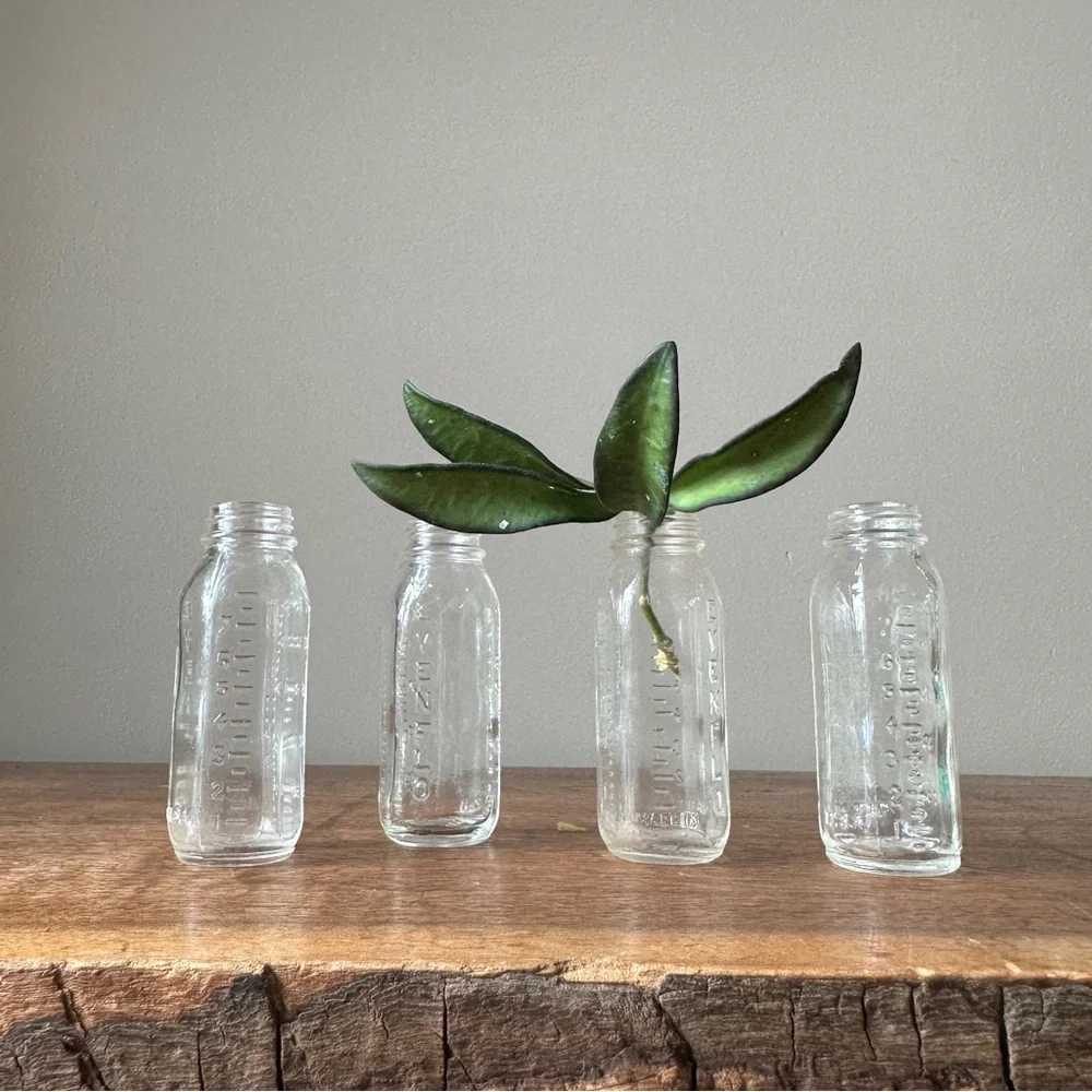 Vintage Glass Bottles Evenflow Baby Doll Accessories Glass Propagation Set of 4 - Picture 2 of 5